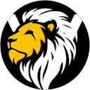 VALOR MMA profile picture